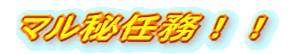 マル秘任務!!